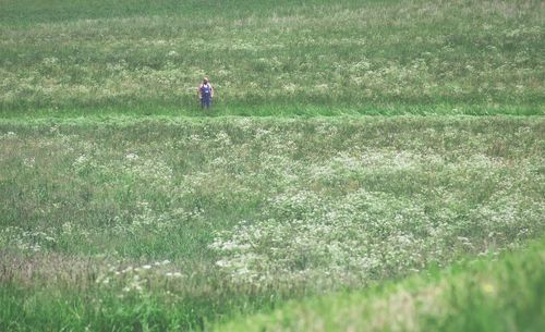 Man standing on grassy field