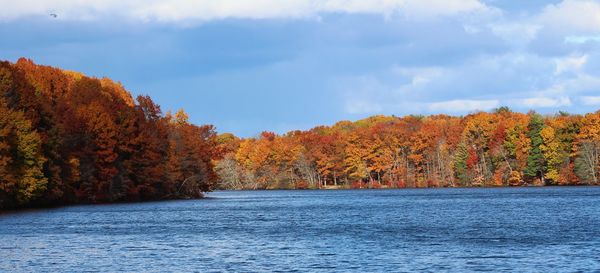 Scenic view of trees during autumn against sky