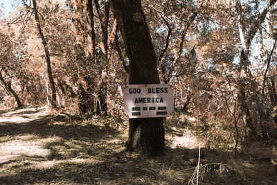 Information sign on tree trunk in forest