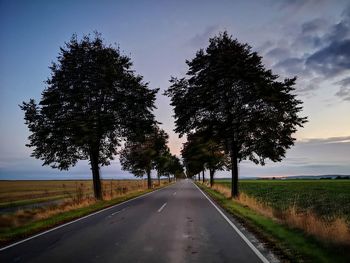 Empty road amidst trees on field against sky