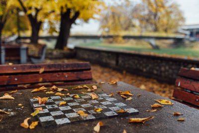 Close-up of chess board on table during autumn