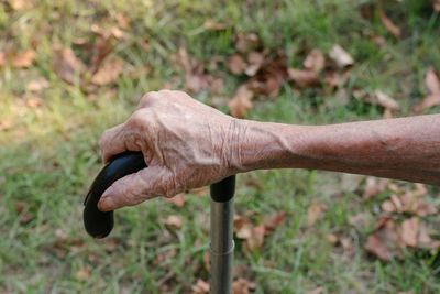 Close-up of hand on grass