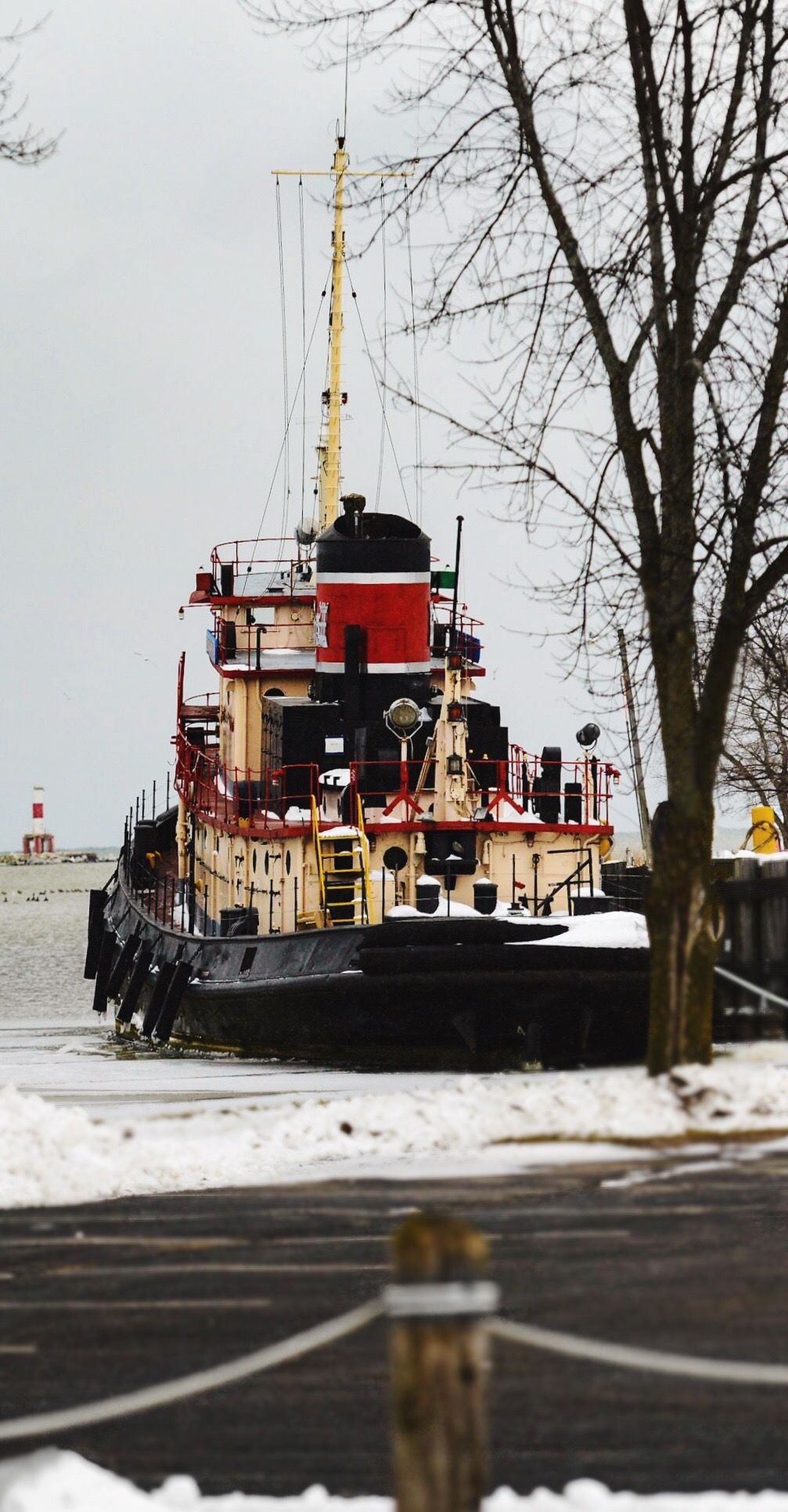 Winter, snow, ice, froze,frozen, water, white, shore, shoreline,ship,ships, dock, docks, marina,transport, boat, boats,large,transportation,town,lake,Lake Michigan ,colors, color, bird, birds,structure,structures, building, buildings, architecture, archit