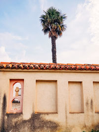 Low angle view of palm tree and building against sky