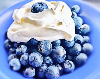 Close-up of ice cream in plate