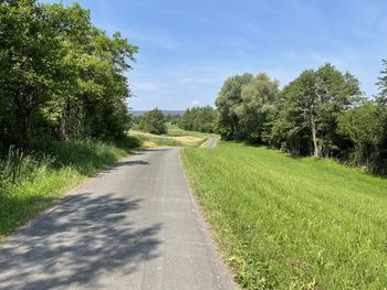 Road amidst trees on field against sky