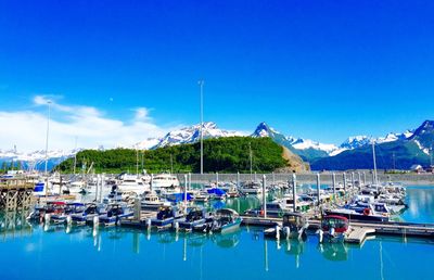 Sailboats moored at harbor against clear blue sky