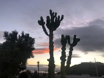 Silhouette cactus by tree against sky during sunset