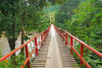 View of footbridge in forest