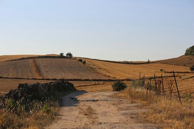 clear sky, landscape, the way forward, dirt road, tranquility, tranquil scene, copy space, desert, field, rural scene, nature, diminishing perspective, road, transportation, agriculture, scenics, horizon over land, sand, non-urban scene, remote