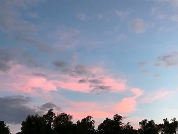 Low angle view of trees against sky during sunset