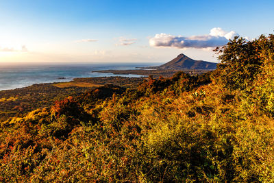 The idyllic south of the island of mauritius is illuminated by the yellow evening sun