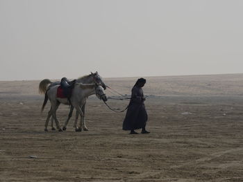 Man riding horse on desert against clear sky