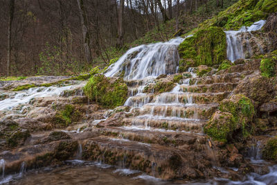 Scenic view of waterfall in forest