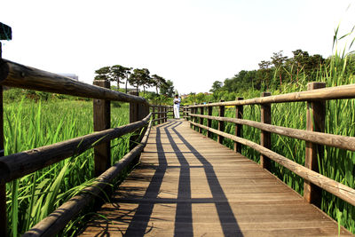 Walkway leading towards trees