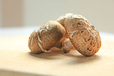 Close-up of mushrooms on table