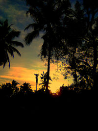 Low angle view of silhouette trees against sky during sunset