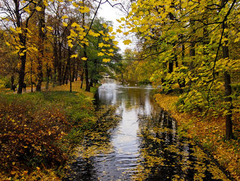 Scenic view of waterfall in forest during autumn