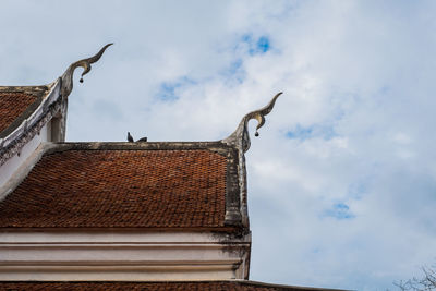 Low angle view of bird on roof of building against sky