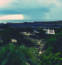 Scenic view of grass at beach against cloudy sky