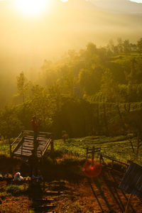 Photographer and sunrise tea plantation