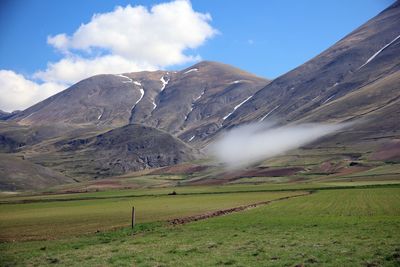 Scenic view of field against sky