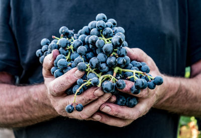 Cropped image of man holding fruits