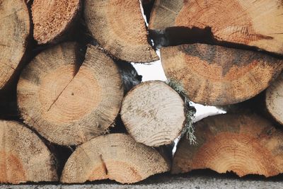 Full frame shot of logs in forest