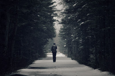 Full length of person walking on footpath in forest