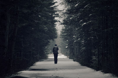 Person in distance from behind walking down a snowy tree lined alley