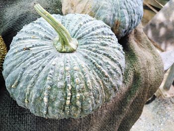 Close-up of pumpkin