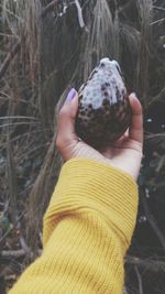 Close-up of hand of woman holding shell