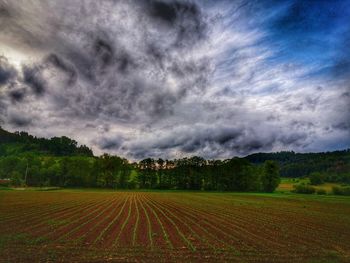 Scenic view of agricultural field against sky