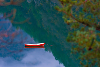 Boat moored at scenic lake against trees