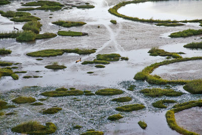 High angle view of water flowing in winter