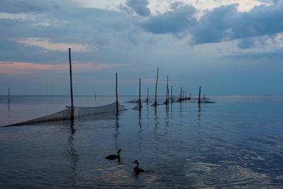 Birds flying over sea against sky