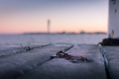 Close-up of crab on retaining wall against sea during sunset