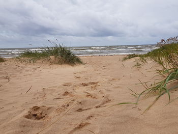 Scenic view of beach against sky