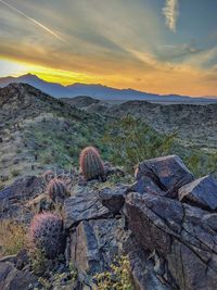 Scenic view of landscape against sky during sunset