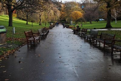 Footpath in park during autumn