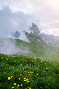 Scenic view of grassy field by mountains against sky