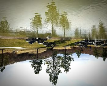 Reflection of trees on lake against sky