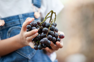 Midsection of woman holding grapes while standing outdoors