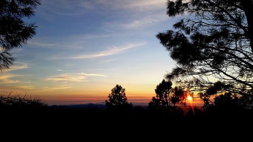 Silhouette trees against sky during sunset