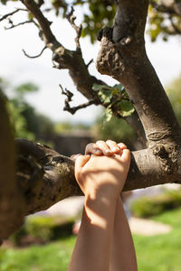 Midsection of woman with tree against plants