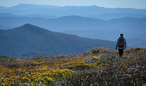 Rear view of man walking on mountain