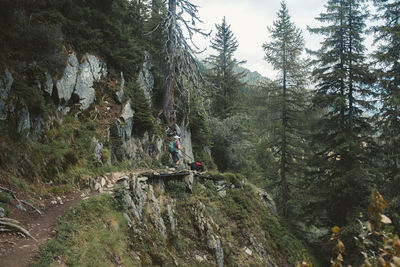 Hiker in mountains