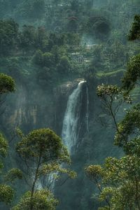 Scenic view of waterfall in forest