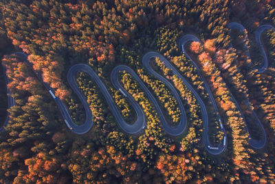 High angle view of text on metal during autumn