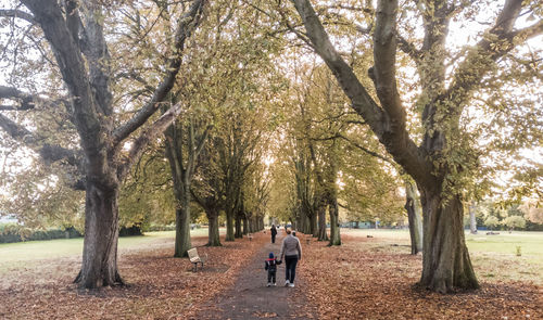 Rear view of mother and son walking on footpath amidst trees in park during autumn